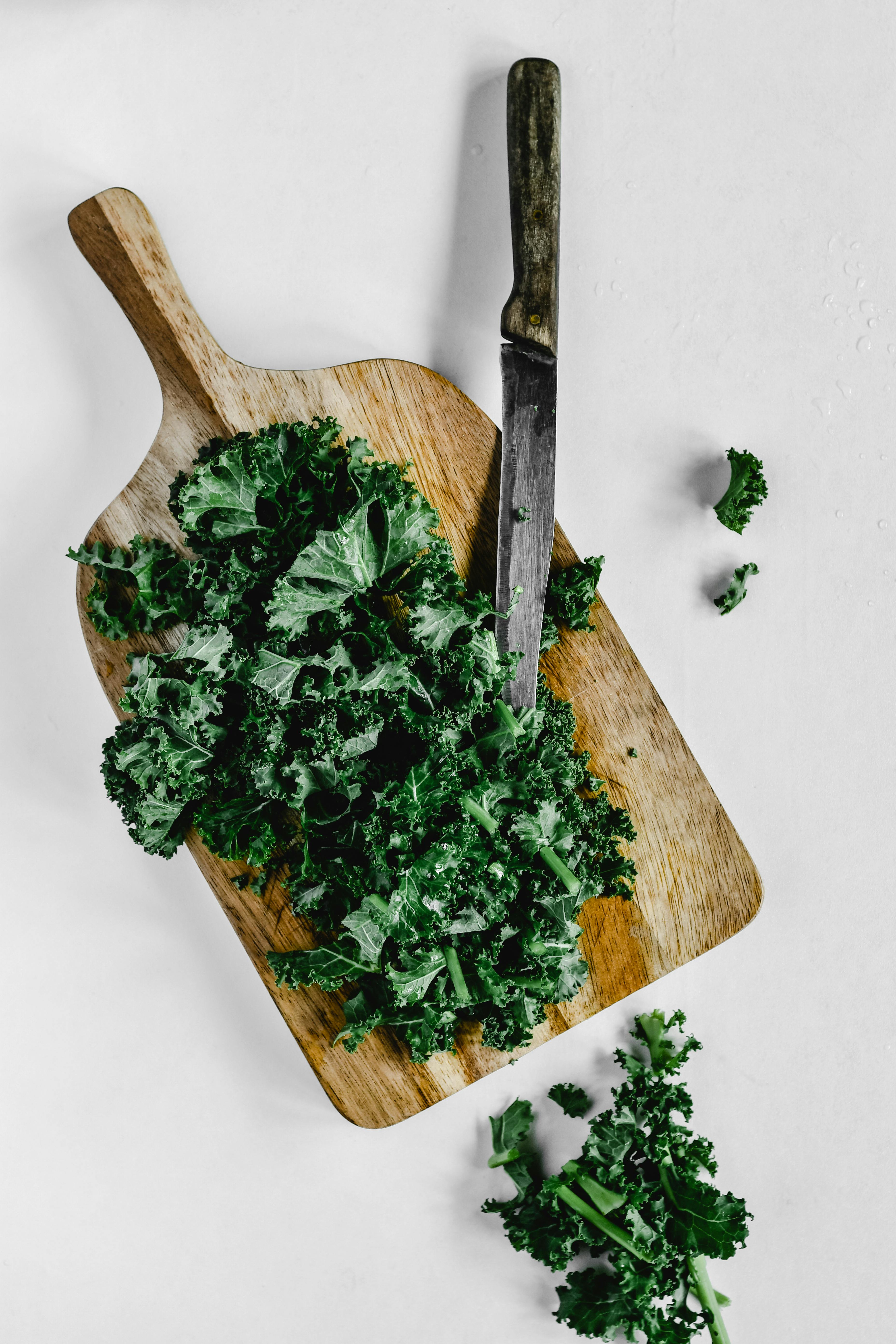 Best 5 Low-Carb Onion Substitutes for Keto Success in 2025