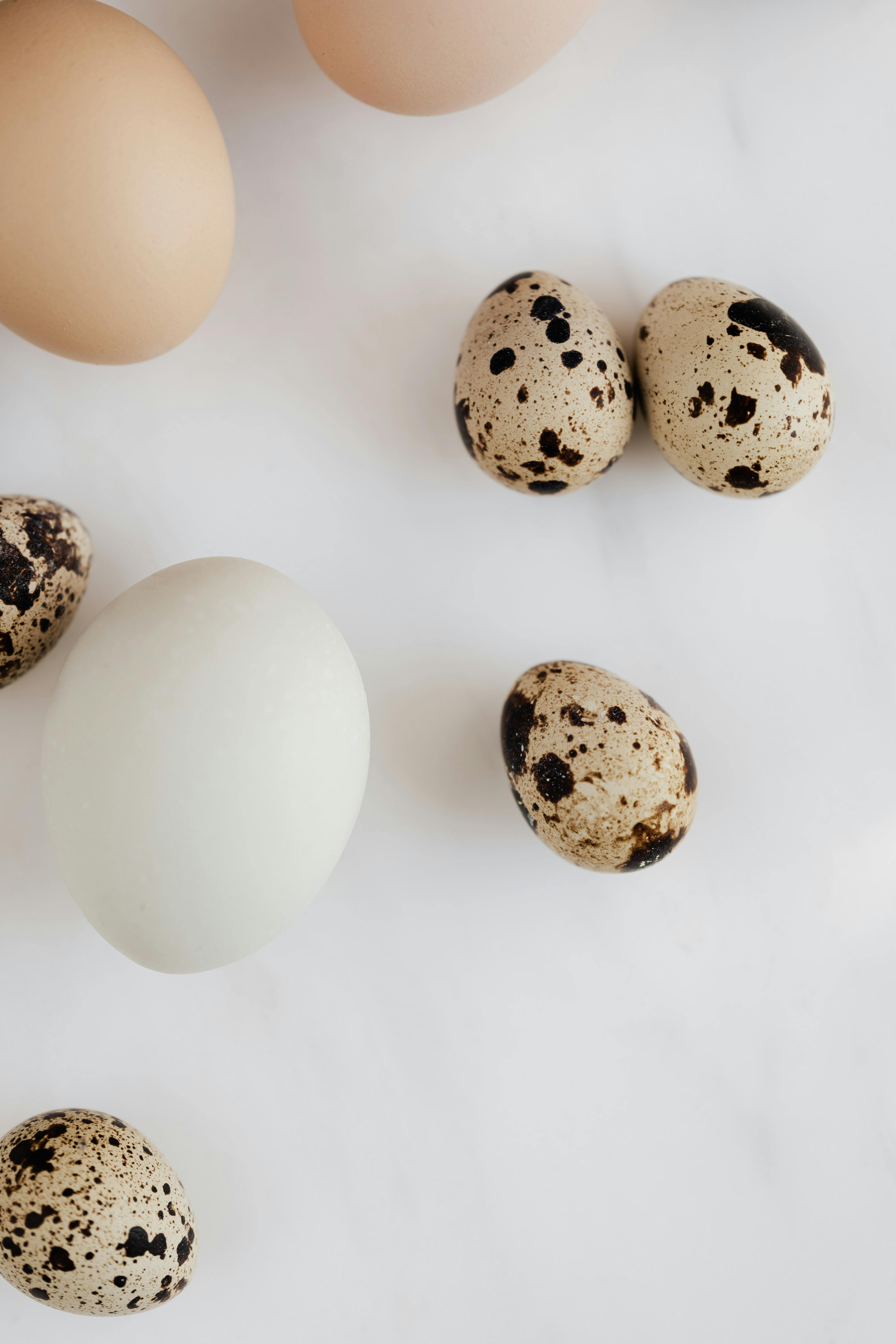 Smart Ways to Enjoy Atkins Frozen Meals for a Healthier 2025