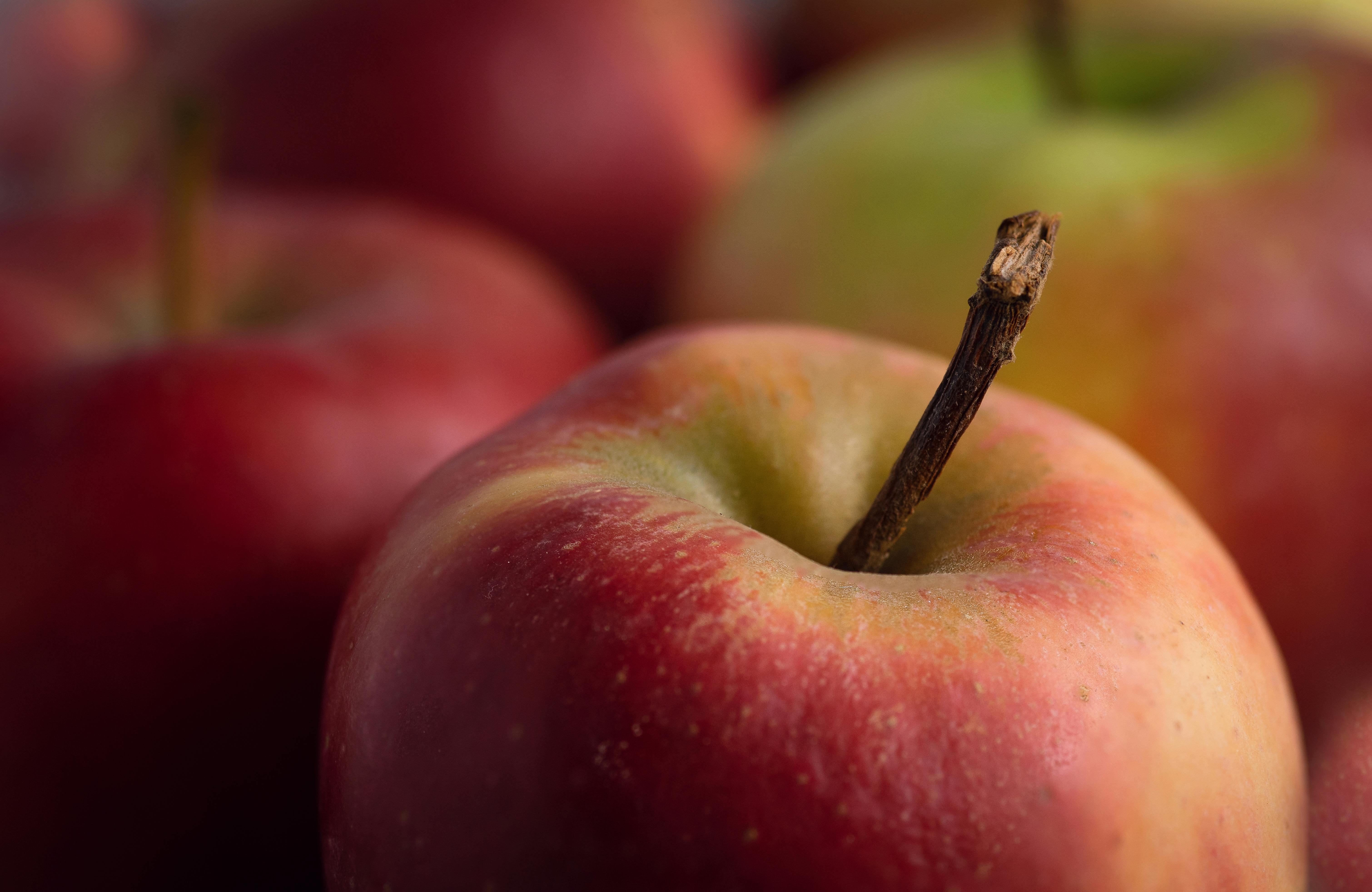 Best 7 Keto Options for Delicious Snacking in 2025