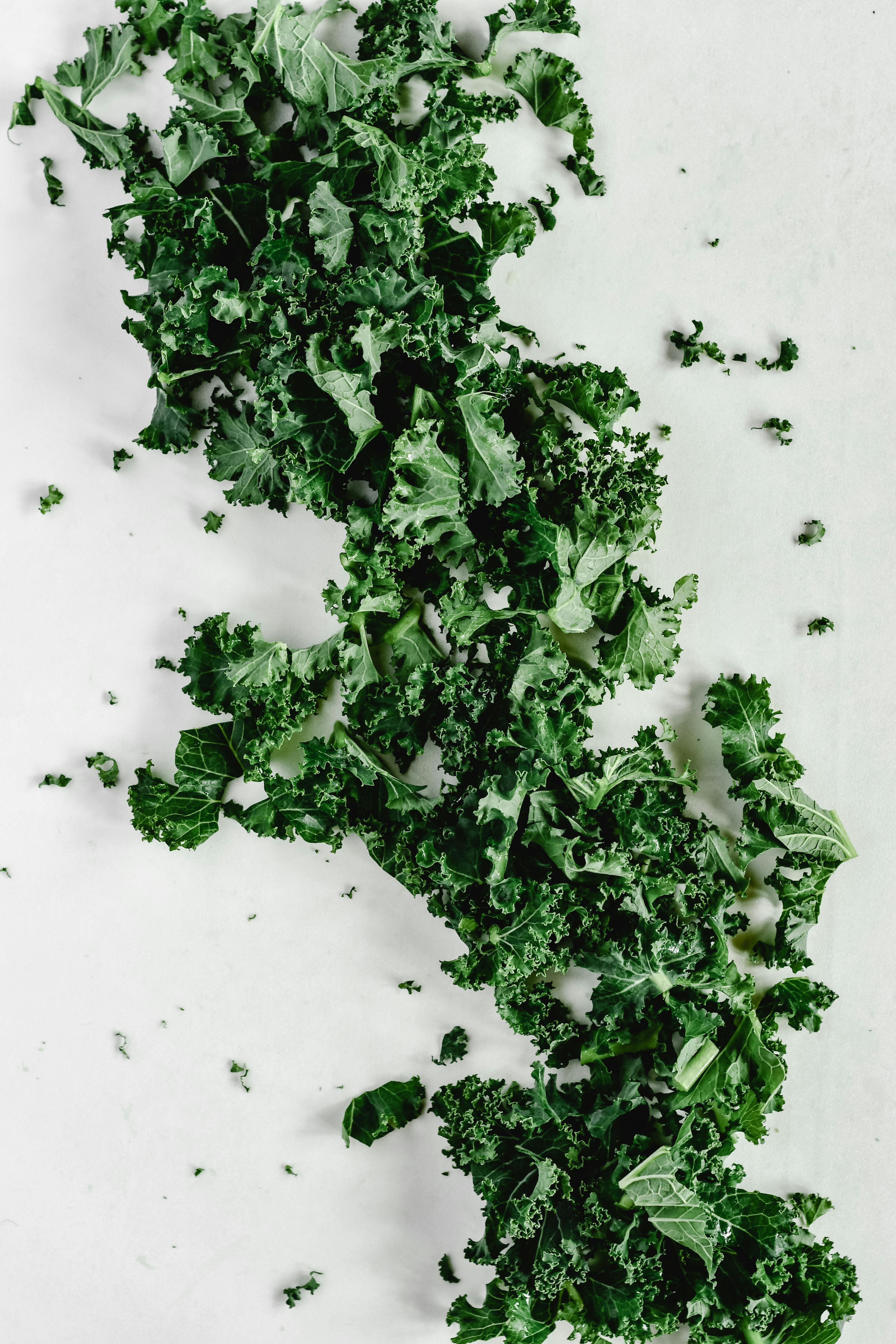 Vegan Keto Recipes