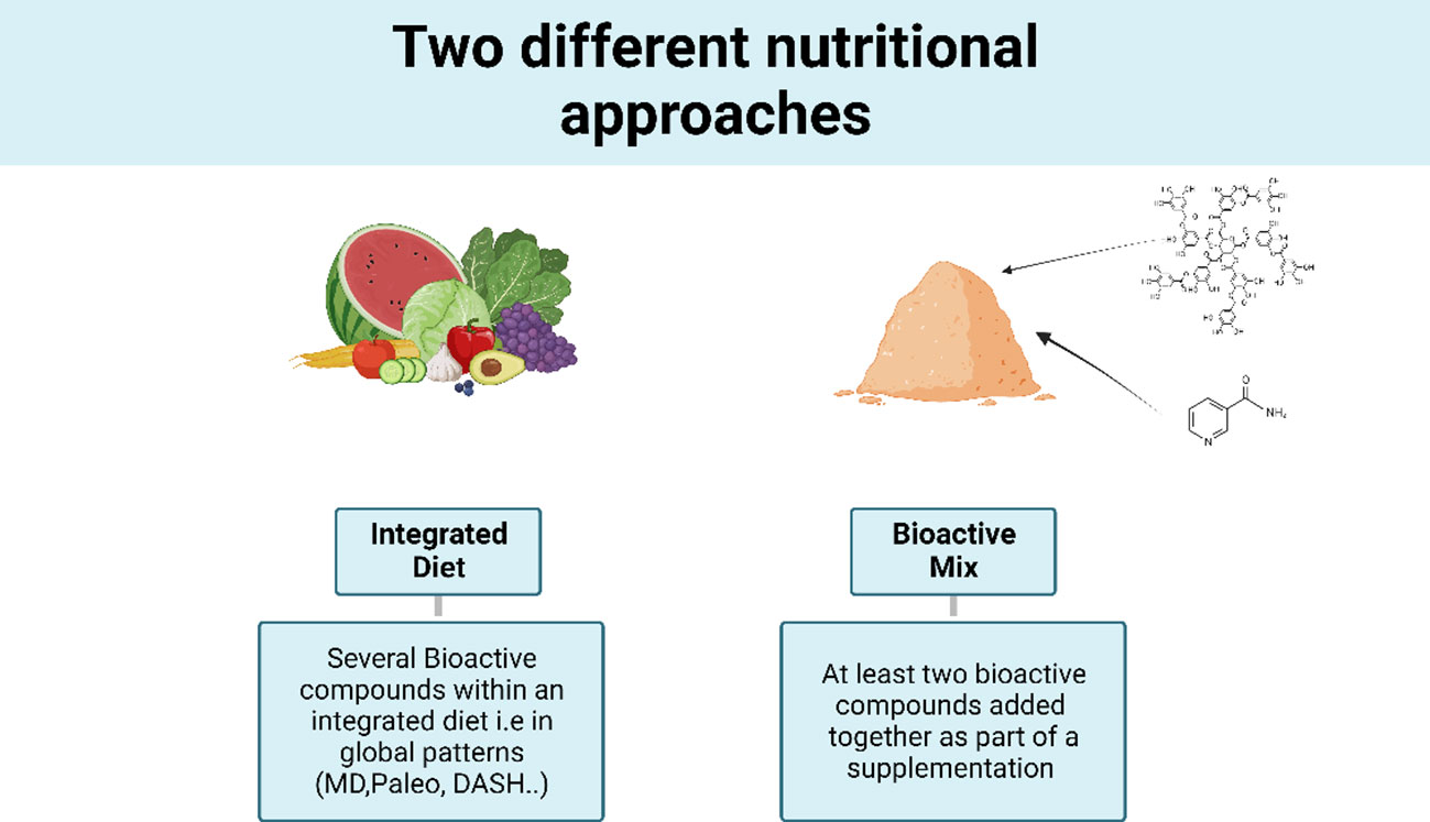 Keto Diet vs Paleo Diet