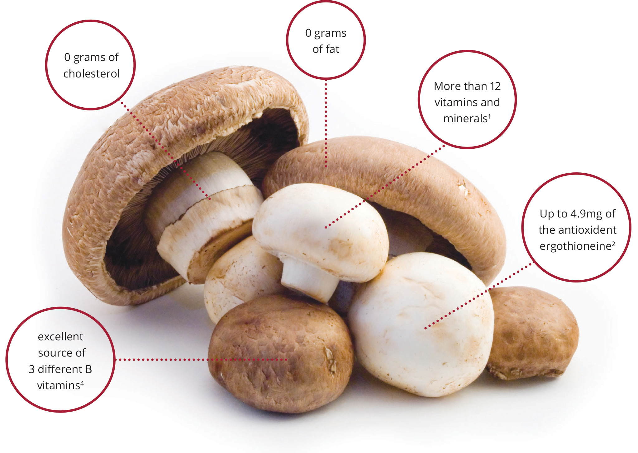 Best 7 Keto-Friendly Mushroom Varieties to Enhance Your Low-Carb Diet in 2025